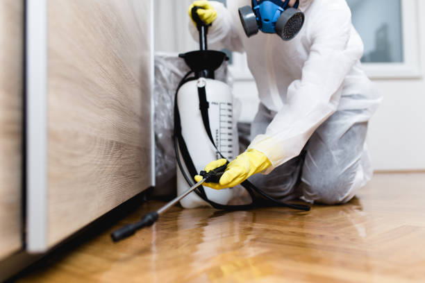 Best Best Pest Control Companies  in Amberley, OH