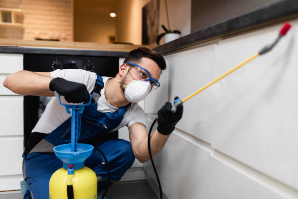 Flea Control Services in Amberley, OH