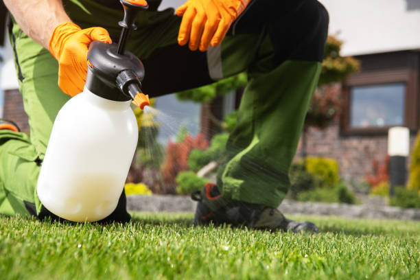 Best Pest Control Near Me  in Amberley, OH