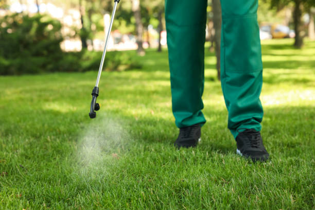 Best Bed Bug Extermination  in Amberley, OH