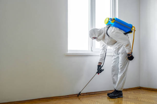 Best Commercial Pest Control Services  in Amberley, OH