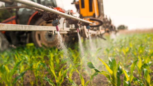 Professional Pest Control in Amberley, OH