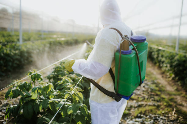 Best Mosquito Control Services  in Amberley, OH